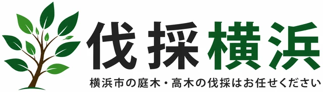 伐採横浜｜横浜市の庭木・高木の伐採はお任せください