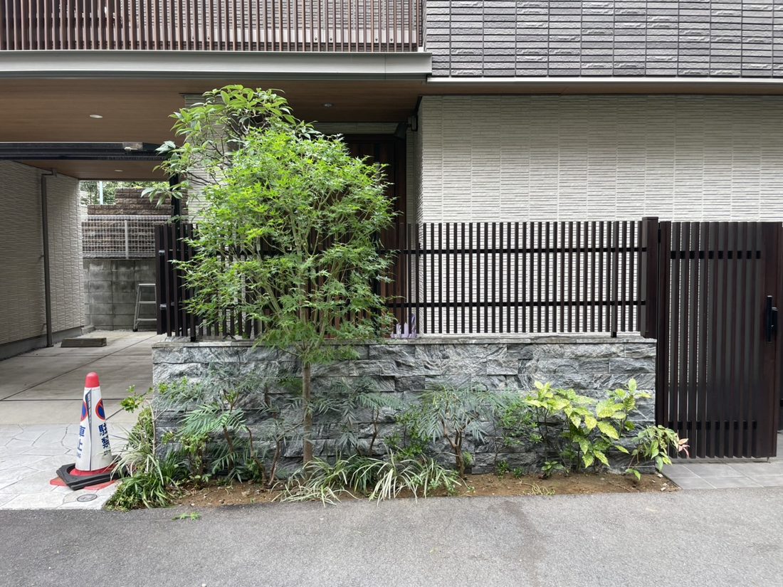 横浜市青葉区 門扉まわりの植栽剪定 施工後