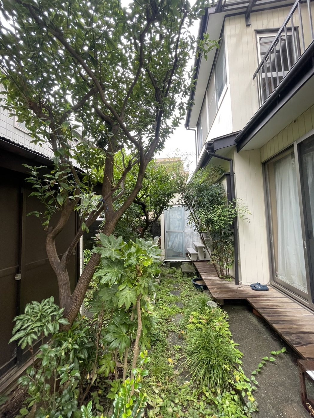 横浜市青葉区 家のまわりを一周した庭木の伐採と整理 裏庭の奥（物置まわり） 施工前