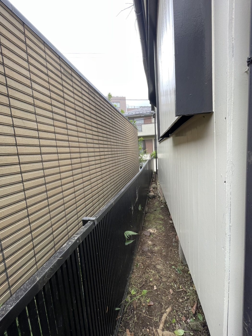 横浜市青葉区 家のまわりを一周した庭木の伐採と整理 塀沿いの細い通路 施工後