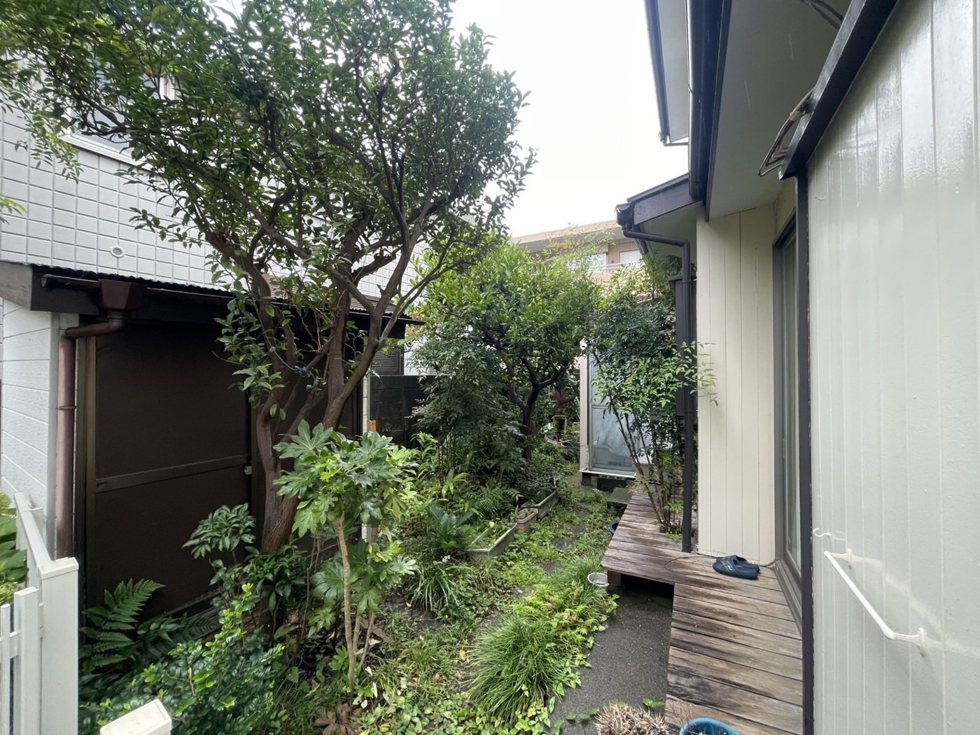 横浜市青葉区 家のまわりを一周した庭木の伐採と整理 施工前