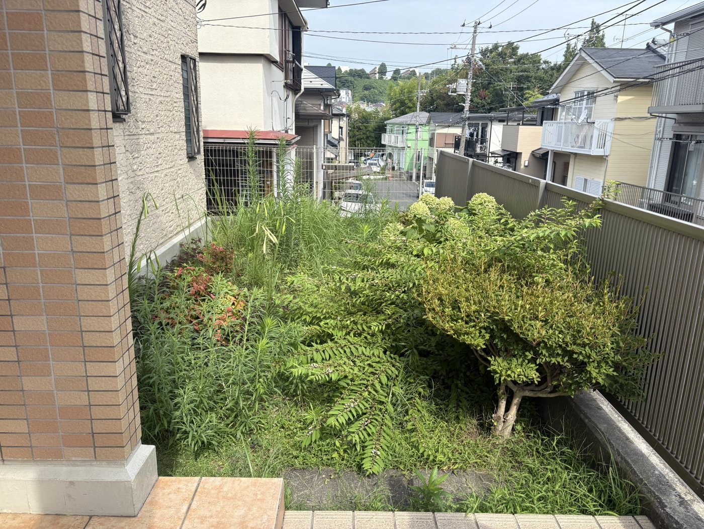 横浜市旭区 伸びきった敷地まわりの草刈り・整理 施工前
