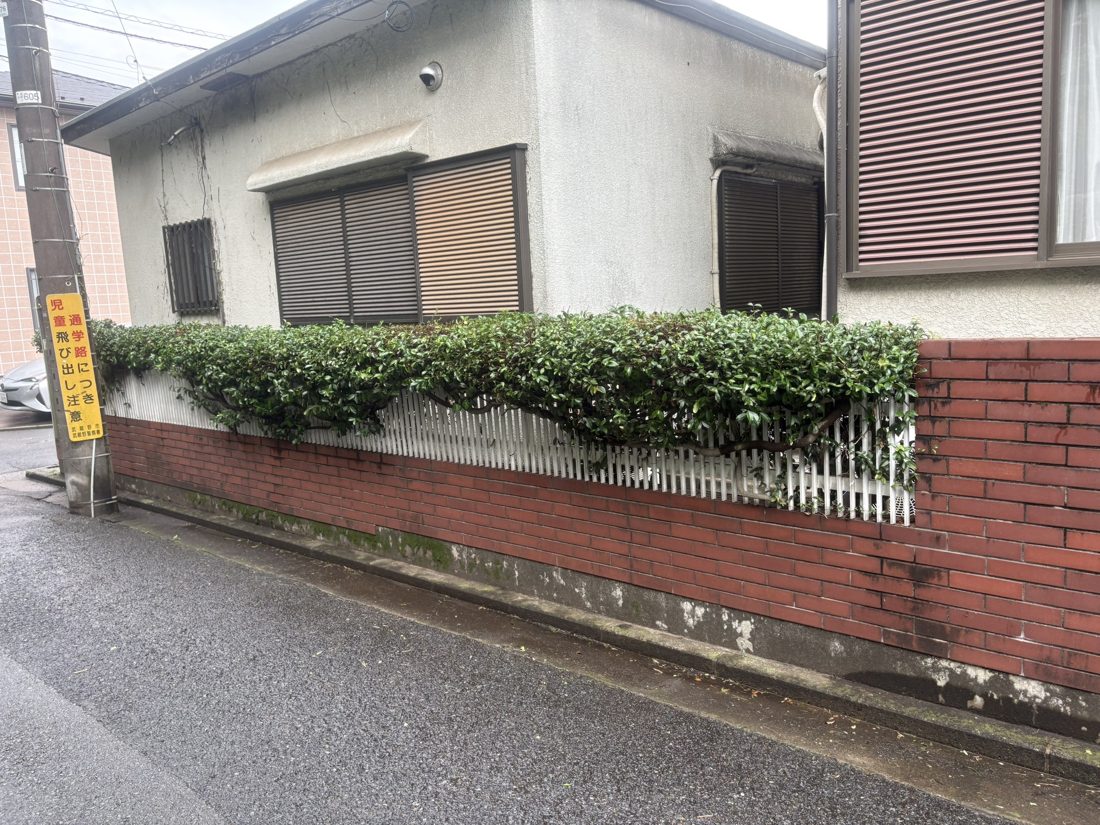 横浜市旭区 道路沿い生垣の刈り込み 施工後