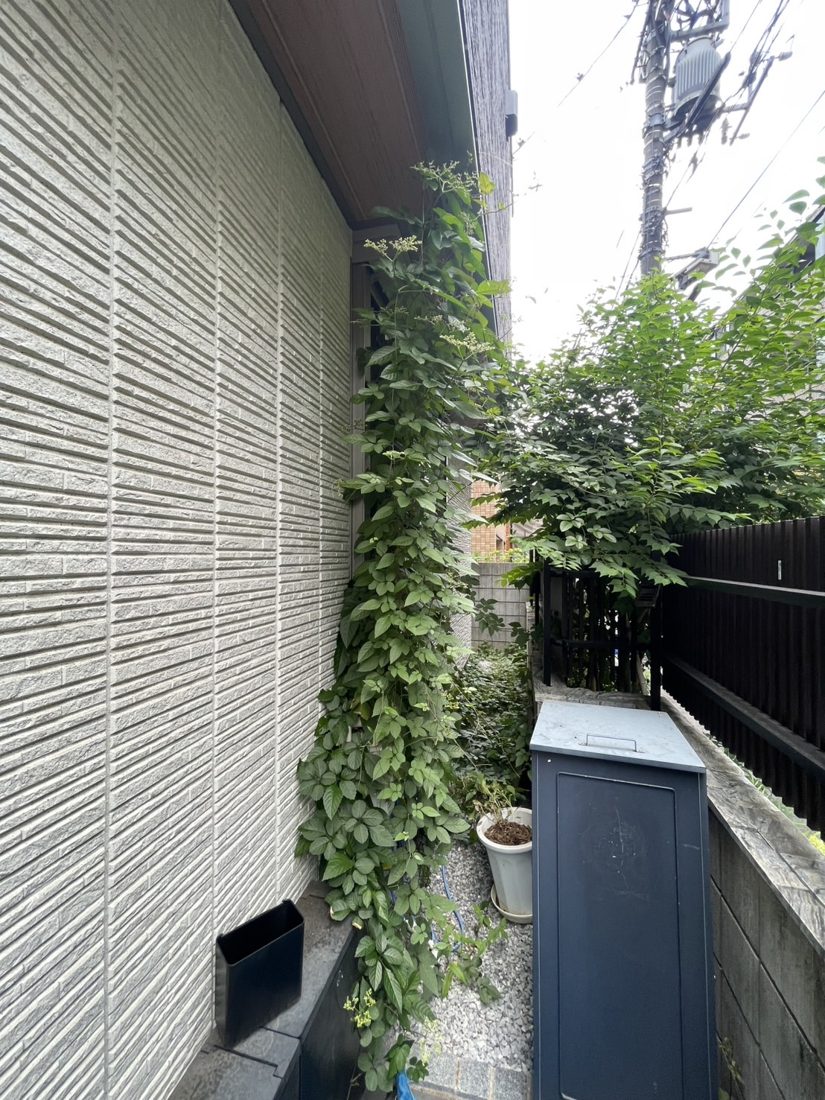 横浜市保土ケ谷区 壁沿いの植栽・草の整理 施工前