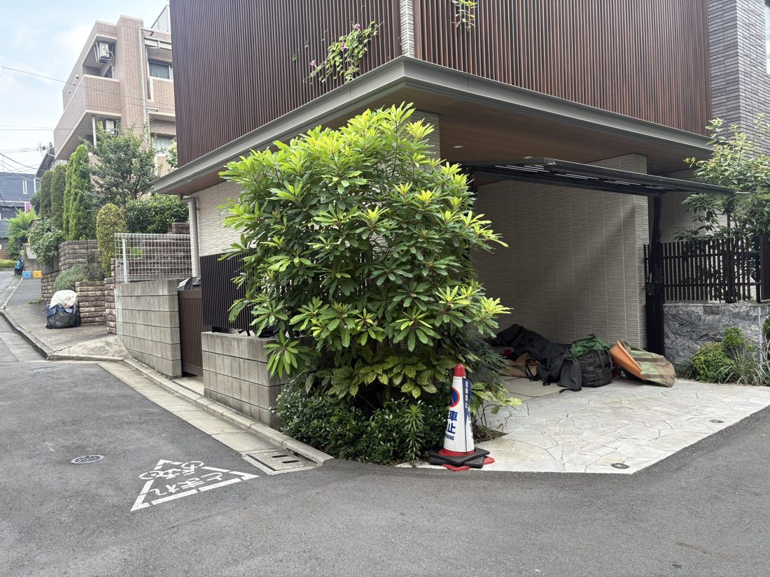 横浜市神奈川区 カーポート上の高木伐採 施工前