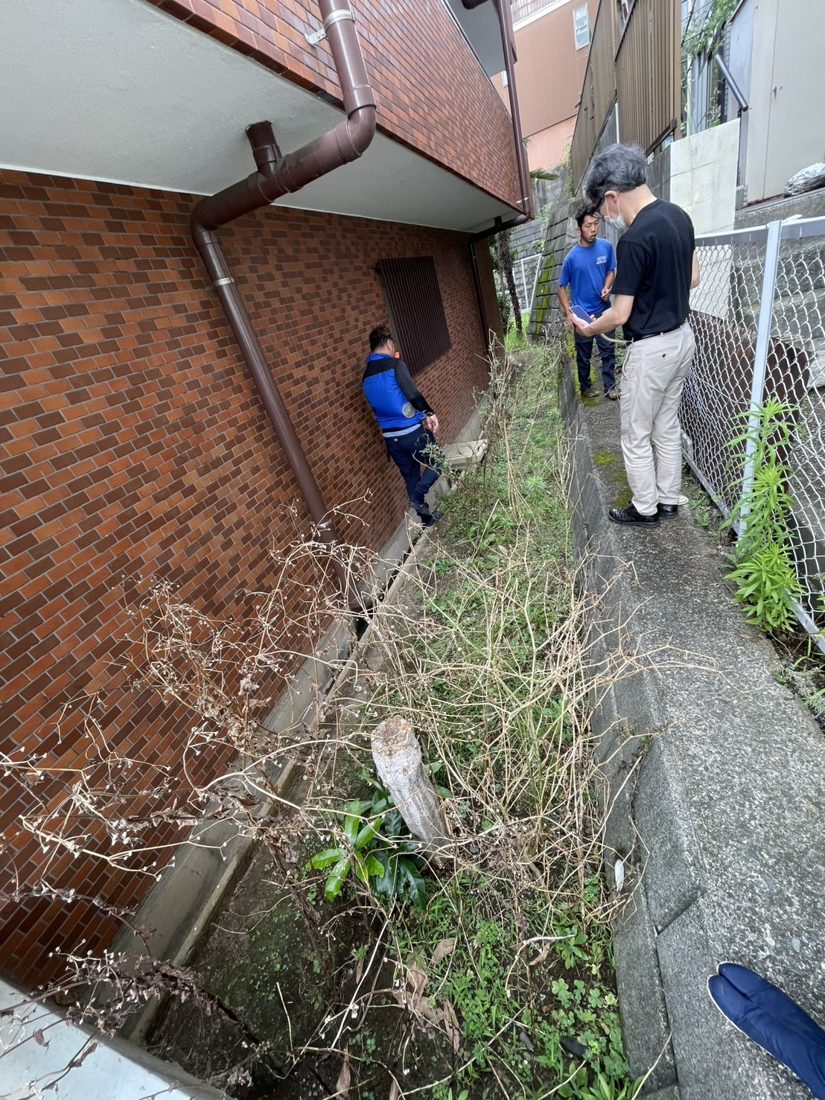 横浜市港南区 建物脇の枯れ木・雑草の伐採 施工前