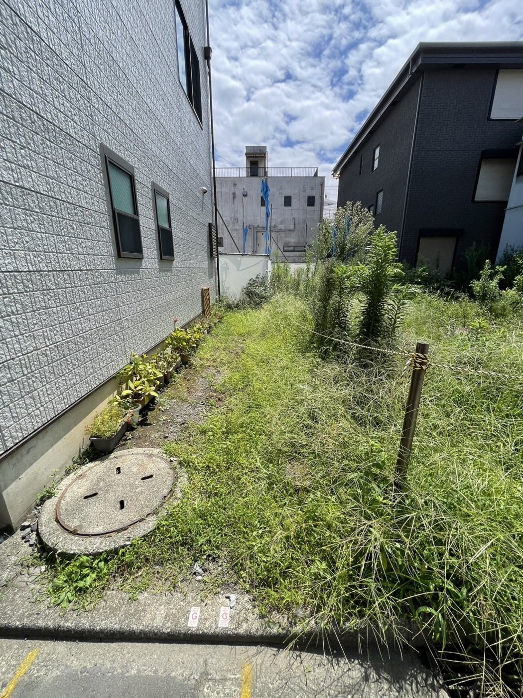 横浜市南区 道路に面した空き地の草刈り 建物沿いの通路と桝まわり 施工前
