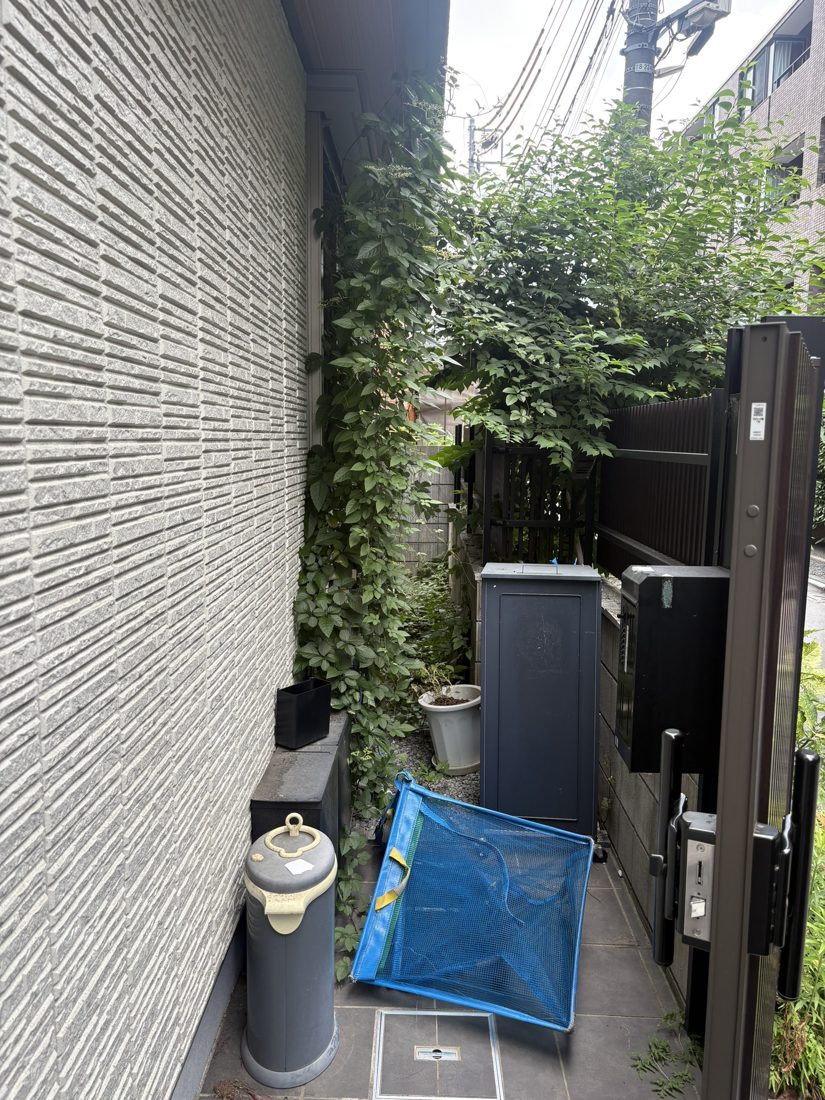 横浜市南区 狭い通路の庭木伐採 施工前