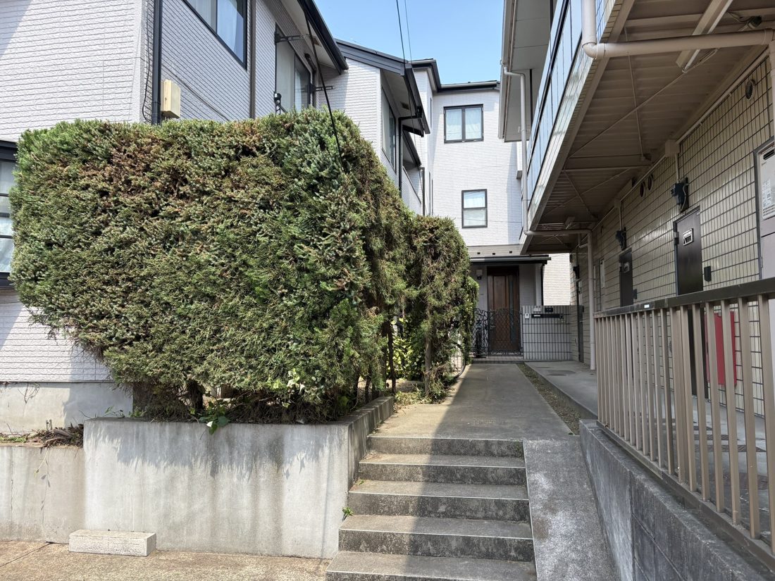 横浜市中区 階段脇の大きな植栽の刈り込み 施工後