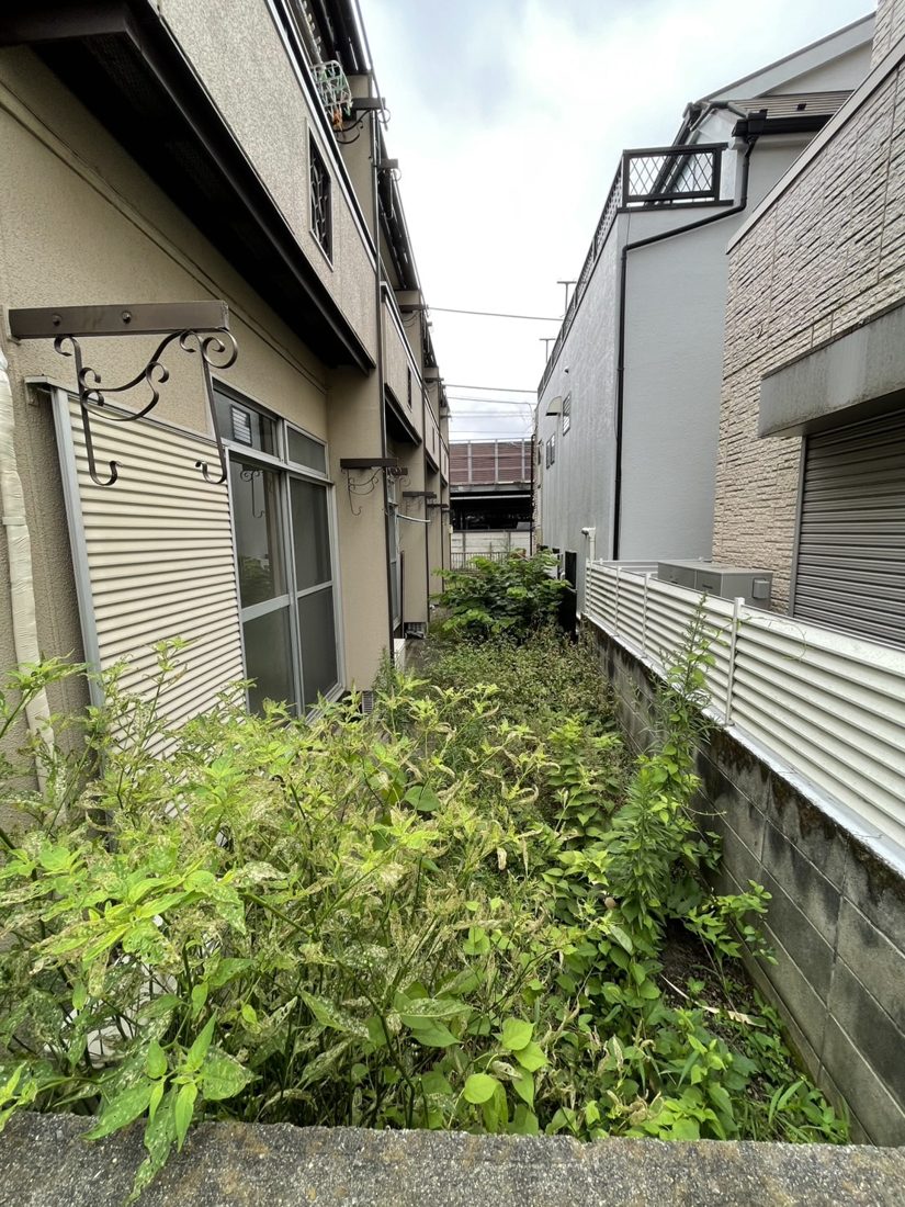 横浜市西区 建物間の通路の雑草処理 施工前