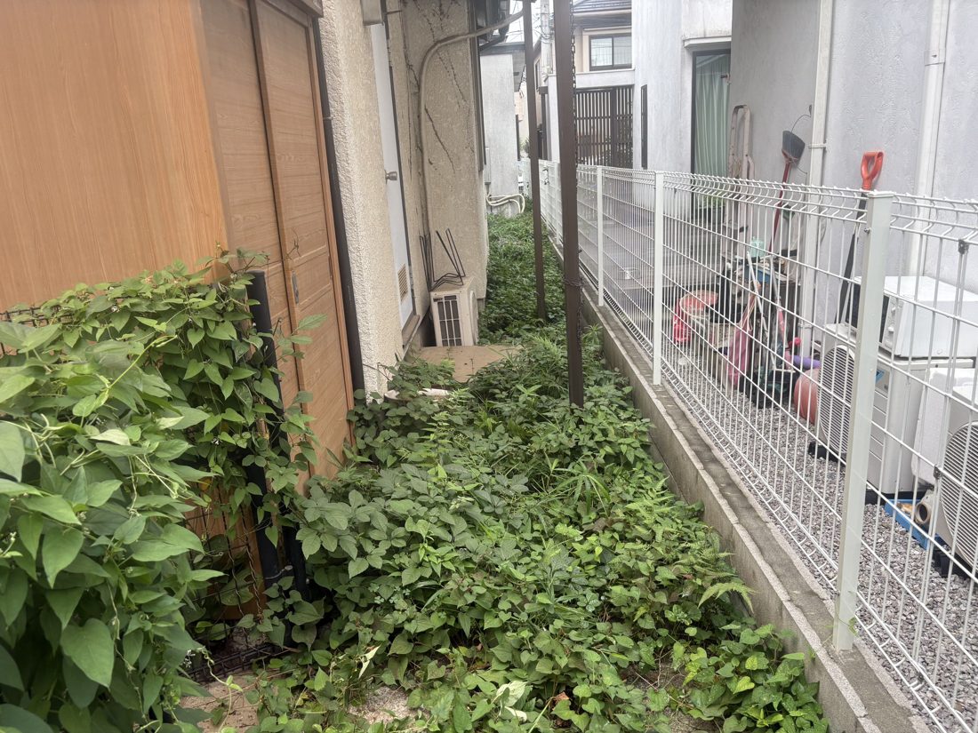 横浜市瀬谷区 建物脇の通路の雑草処理 施工前