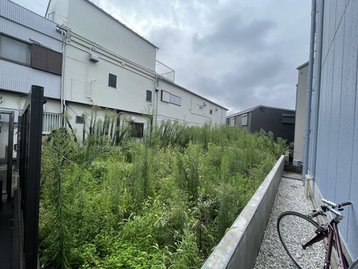 横浜市瀬谷区 門扉の奥に広がる空き地の草刈り 施工前
