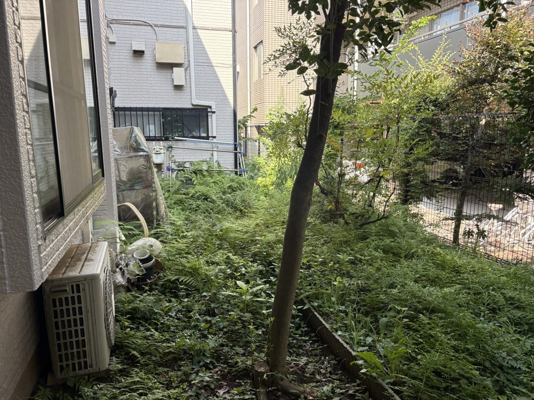 横浜市鶴見区 建物脇の庭木・下草の伐採 施工前